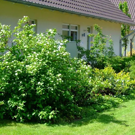Apartment 4 Sterne Bernstein Mit Terrasse Und Sauna *